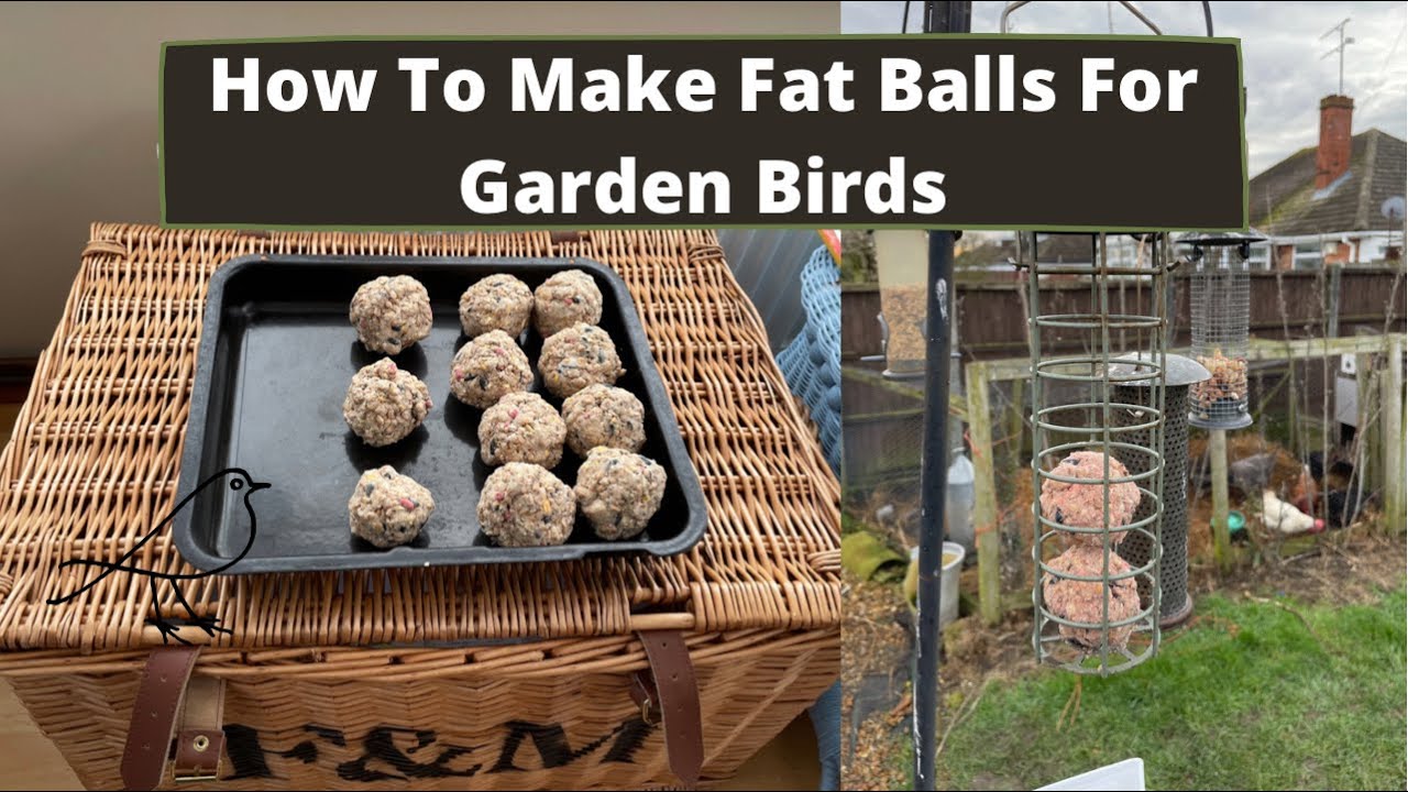 How To Make Fat For Garden Birds