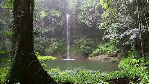 تلاوة خاشعة من سورة السجدة بأجمل صوت تسمعه | تسجيل جديد 1443هـ  - 2021م