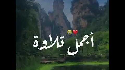قرآن كريم بصوت سعد الغامدي-حالات واتس اب دينية_سورة الزمر