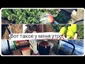 МОË УТРО/почему долго не было видео//купили роутер