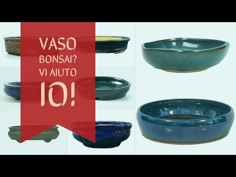 Video: Quale Vaso Scegliere Per Un Bambino