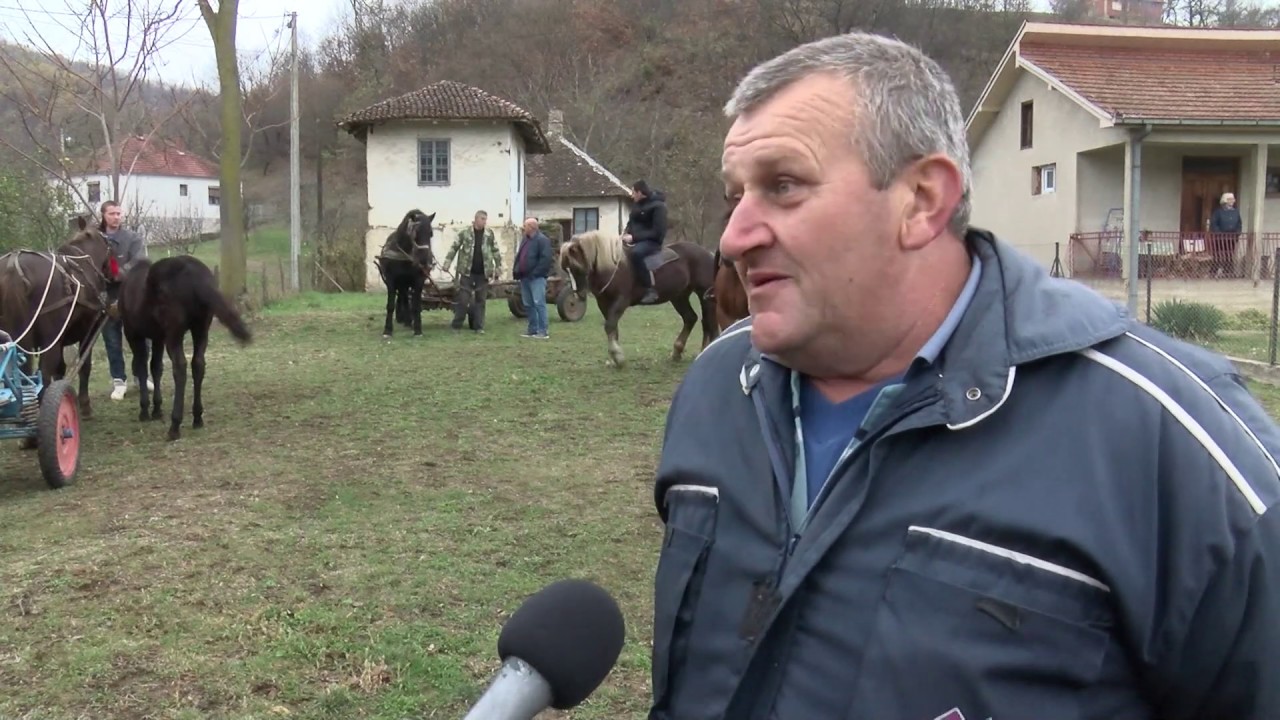 Šumadijski prag: Grošnica