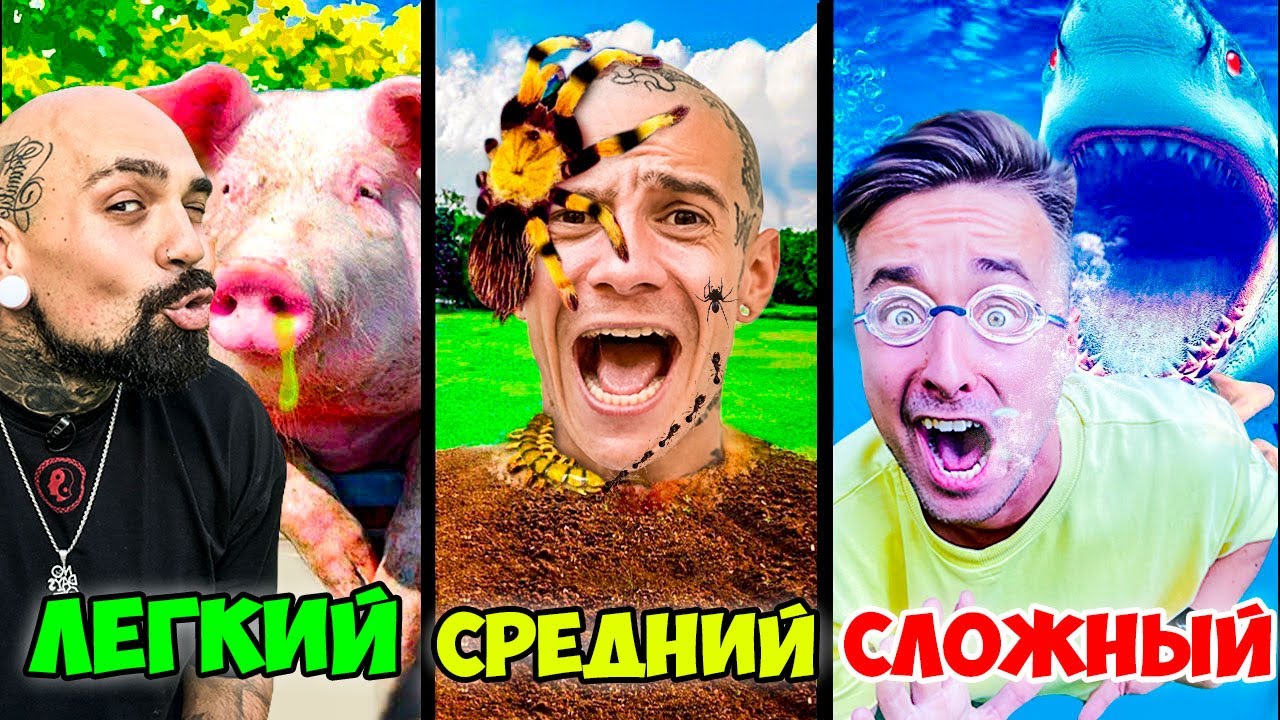 Машины magic five