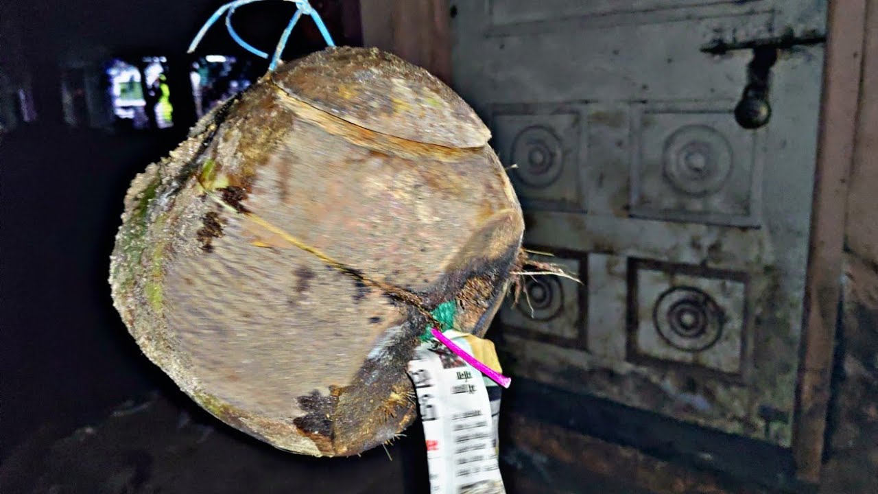 Sutli Bomb Vs Coconut