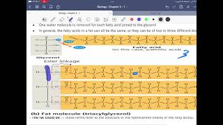 Biology chapter 5 lecture 3 part 2: Lipids by Muhannad KH jaradat