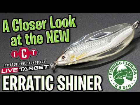 LiveTarget Erratic Shiner- Casting Spoon, 2 3/4, 3/4oz, Gold/Black