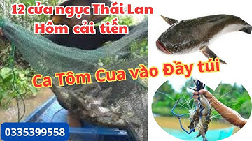 Đặt lú 12 cửa ngục dính cá tôm cua to, nhiều chưa từng thấy. Lưới Thái Lan hôm cải tiến