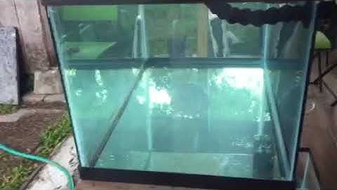 40 gallons breeder saltwater tank installing Eshopps Eclipse S overflow box and return test