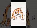 Drawing Harimau Shorts Art Drawing Colors Harimau Padazamandahulu Malaysia Drawing Harimau Shorts Art Drawing Colors Harimau Padazamandahulu Malaysia