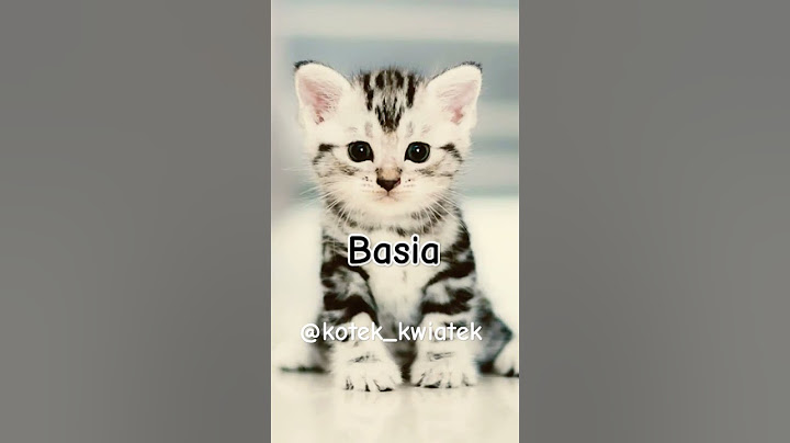 TWOJE IMIĘ=TWÓJ KOT❤️😺 #koty