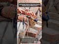 How Balanced Cargo Systems Protect Working Animals on Narrow Staircases