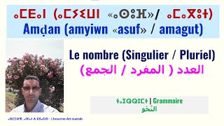 ⴰⵎⵢⵉⵡⵏ / ⵓⵎⴰⴳⵓⵜ / amyiwn (asuf) /amagut (asgʷt) / singular and plural in #amazigh / singular and ...