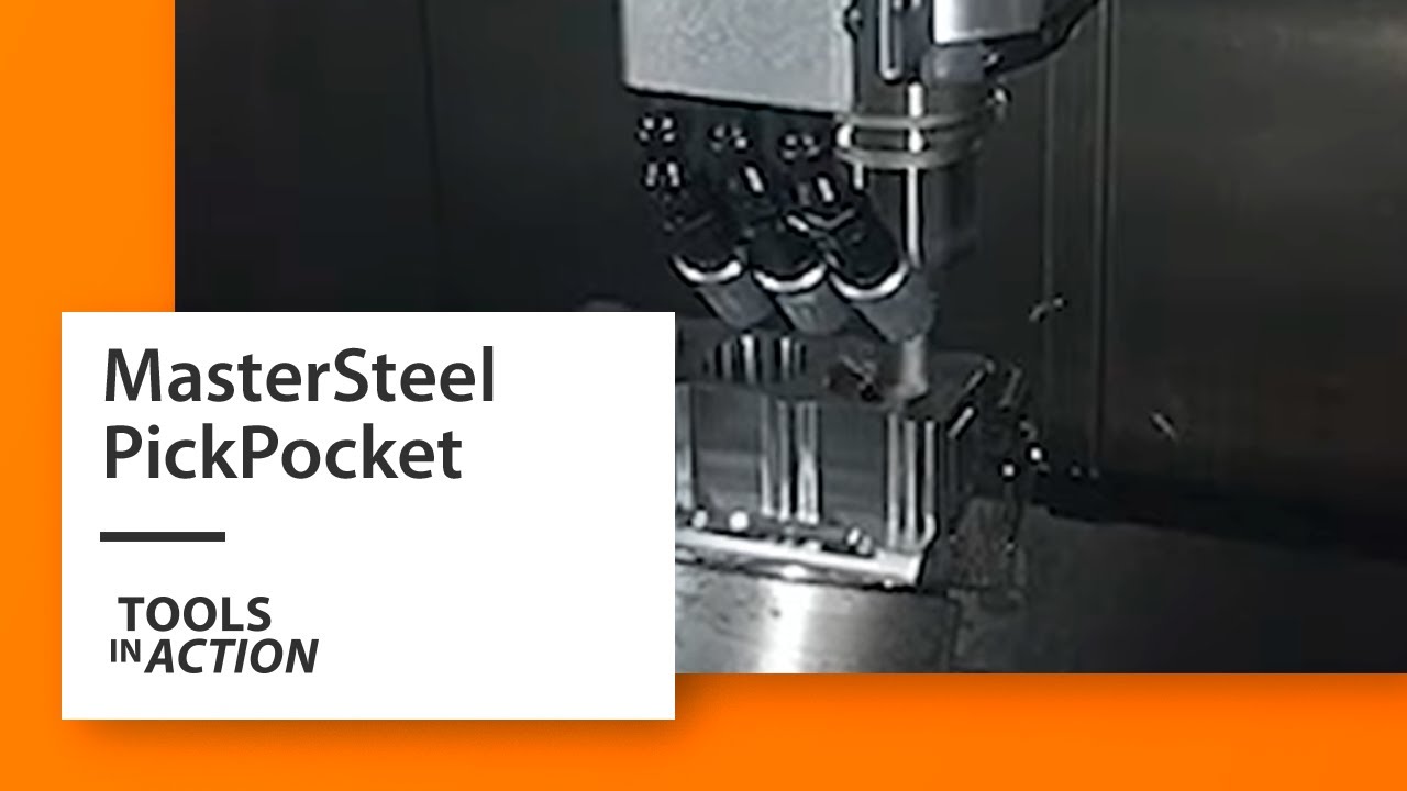 GARANT MasterSteel PickPocket in 1.7131