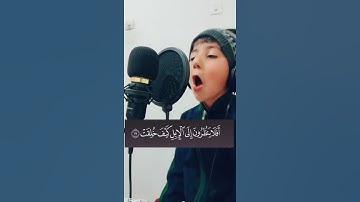 افلا ينظرون الى الابل كيف خلقت قرأن كريم تلاوة خاشعة ومؤثرة جدا مشاري بكو حالات وتساب قرأن دينية