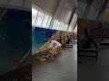 Начинаем с нуля,только в классике.Становая тяга.