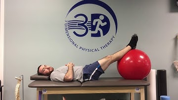 Eccentric Hamstring Curl on a Physio Ball