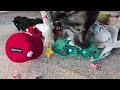 Middle of video