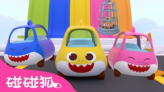 best he sha yu bao bao yi qi ying jiu wei lian let s rescue