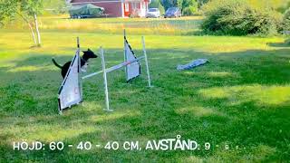 190801-KAA REBALANCE GRID