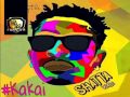 Shatta Wale Kakai Audio Slide mp3