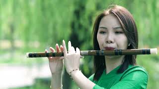 Bu Wei Xia-Fearless adventure-Flute-好聽的《不謂俠》，竹笛版不一樣的感覺