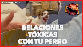 🔴 Relaciones Tóxicas con tu perro .. ¿Qué tipo de vinculo tienes con él? y como mejorarlo!🐶💡🙌 by Elperroideal 4,705 views 1 year ago 7 minutes, 30 seconds