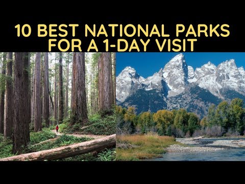 Vídeo: Os 7 melhores hotéis perto do Redwood National Park em 2022