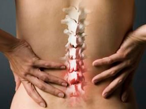 Боль в внизу живота и пояснице у женщин причины