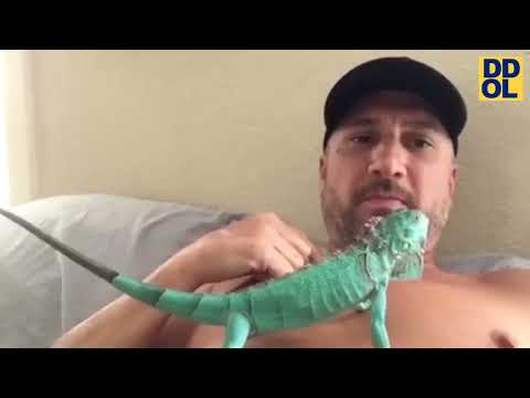TRY NOT TO LAUGH WATCHING FUNNY FAILS VIDEOS 2022 #215