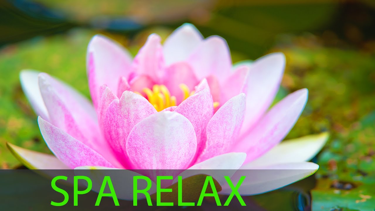 6 Hour Super Relaxing Spa Music Meditation Music Massage Music