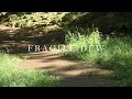 Fragile Dew | Jotham | ORIGINAL