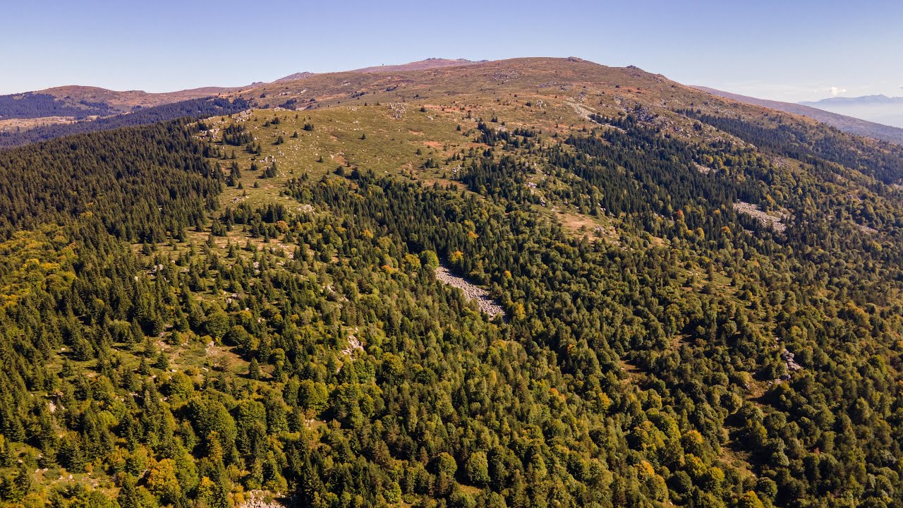 Каменна река над хижа Селимица, Витоша планина/Stone river above Selimitsa hut, Vitosha mountain