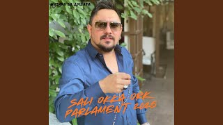 : Sali Okka Ork Parlament 2025