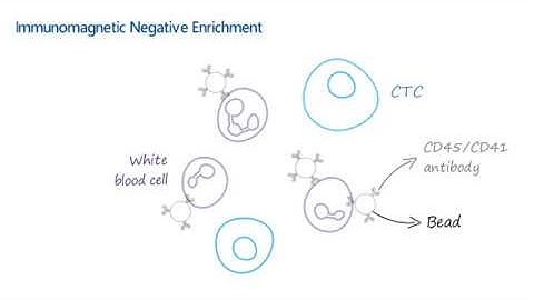 AbLearning™ - Episode 2: Circulating Tumor Cell Isolation