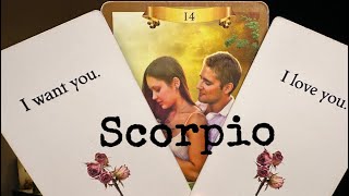 SCORPIO “SOMEONE IS DESPERATELY WANTING YOU, HUG YOU TIGHT & SAY I LOVE YOU! ❤ WANT TO DATE”✨