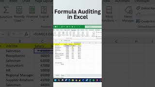 Formula Auditing in Excel