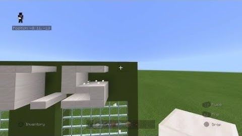 How to build a modern city pet store