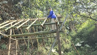 Ly Khang Anh  Build a new house with bamboo | Life of a 17 Year Old girl