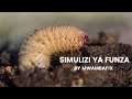 SIMULIZI MPYA YA FUNZA 16 I SIMULIZI YA KUSISIMUA I Mwambafix 