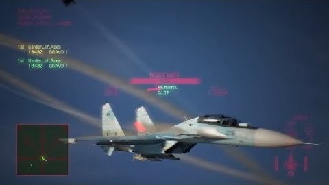 ACE COMBAT 7 1v1 -Su-30SM vs Su-37-