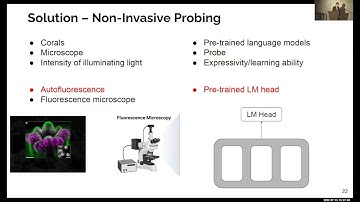 Probing via Prompting [NAACL 2022]