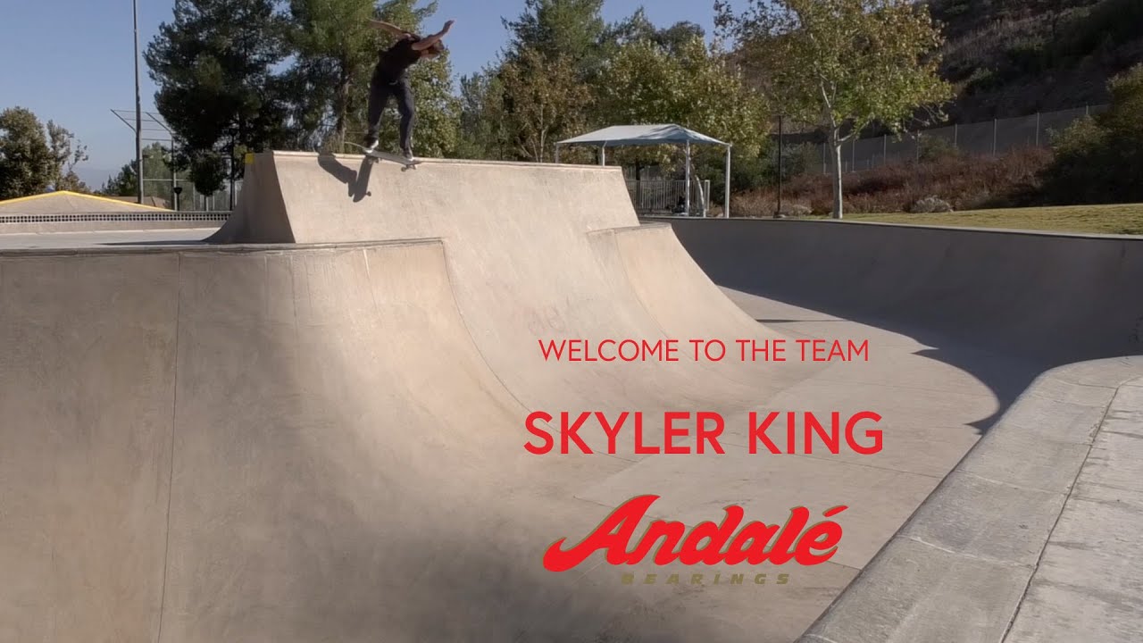 Skyler King - Welcome To Andale