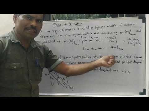 Principal Diagonal Matrix
