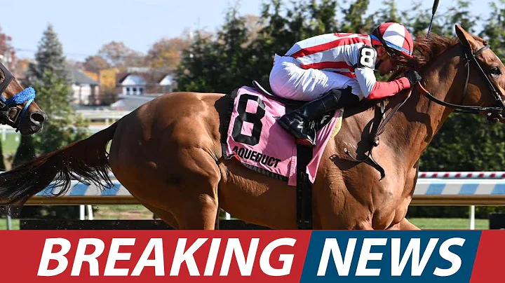 Go for Wand Stakes Preview 2025  Weigh the Risks & Top Contenders at Aqueduct। USA NEWS TODAY