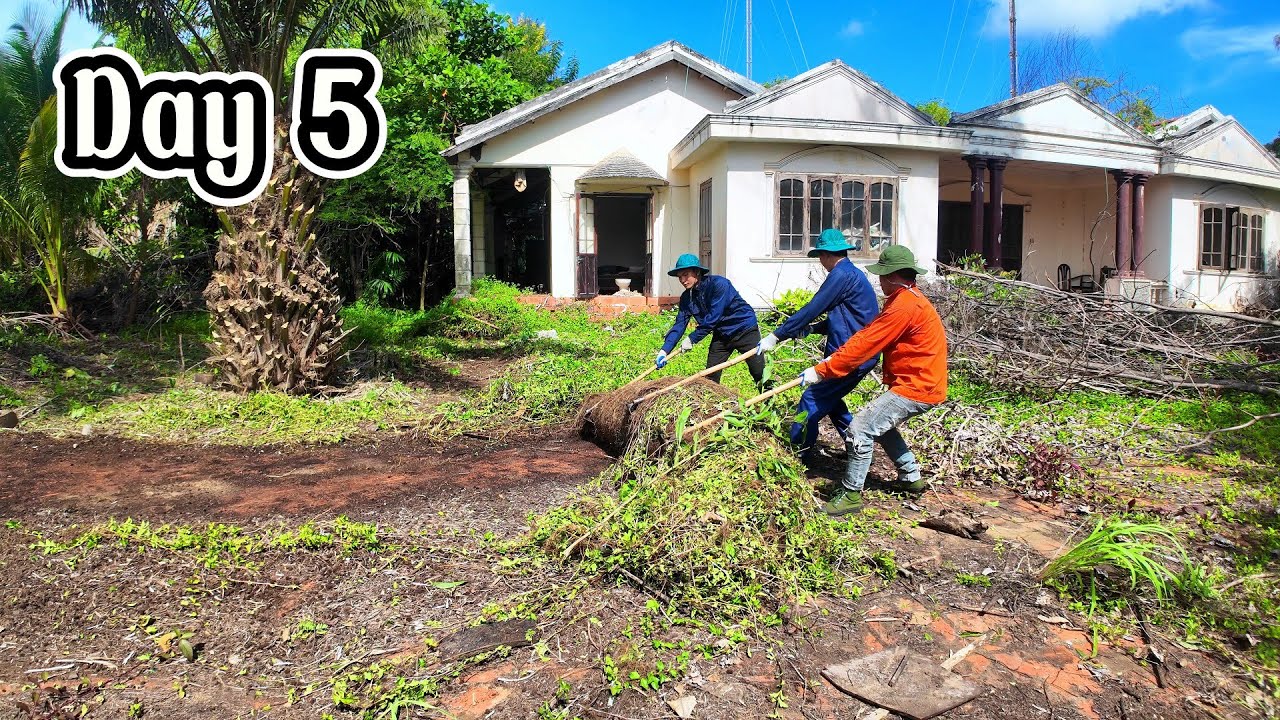 5 Days of Hard Work – Finally Revealing the House Hidden for 7 Years