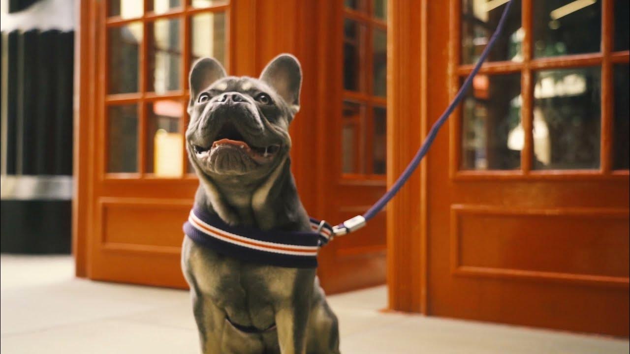 Hugo & Hudson London YouTube