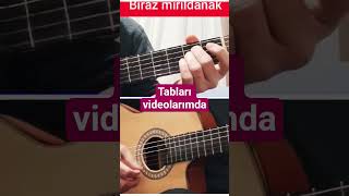 Erol Budan Harebe Gönlüm Akor Tab fingerstayl ders 46