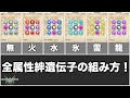迷ったら絆遺伝子はこう組め!汎用性が高い全属性の絆遺伝子の組み方!【モンスターハンターストーリーズ2】【ゆっくり解説】