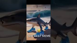 ปลาฉลามใส่เท้ารองเท้าครับพี่ screenshot 5