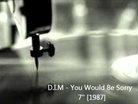 D.I.M - You Would Be Sorry
